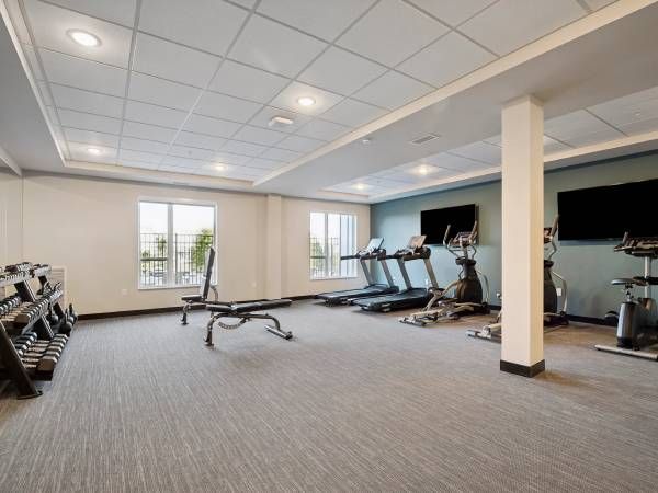 Modern gym room with treadmills, free weights, benches, and large windows letting in natural light.
